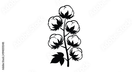 Elegant cotton plant stems and fluffy bolls in dark silhouette