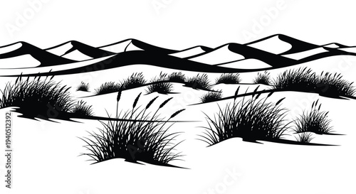 Desert landscape with sparse vegetation a striking black silhouette