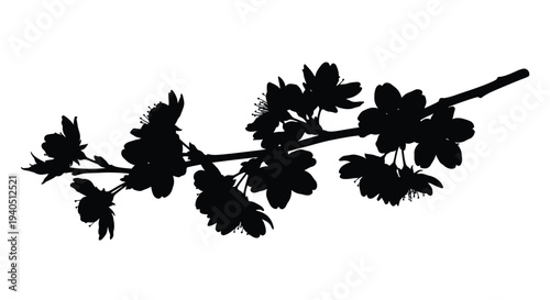 Delicate cherry blossom branch with detailed floral shapes silhouette