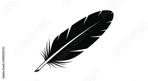 A striking black feather design elegantly captured in silhouette