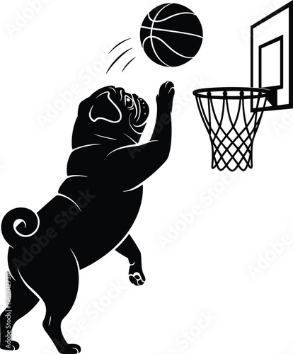 Pug playing basketball and jumping to dunk ball into hoop