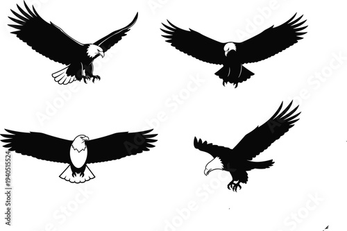WebBald eagle set in black and white vector silhouette style, soaring predatory bird illustrations for mascot logo design and outdoors branding