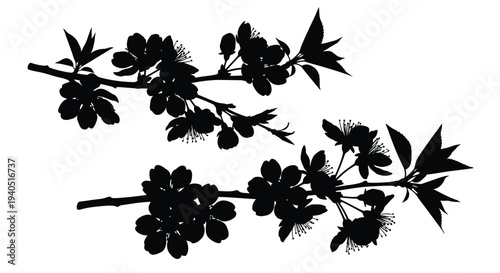 Delicate cherry blossom branch with flowers depicted as a silhouette