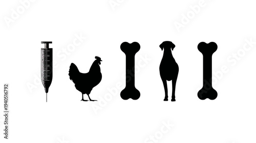 Veterinary medicine, pet care, and animal nutrition concept with syringe, chicken, dog, and bone silhouettes on white.