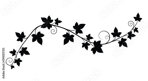 Elegant floral vine design with delicate leaves and swirling shapes silhouette