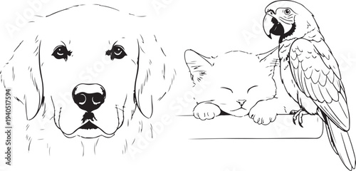 A black and white illustration of a dog, cat, and parrot together