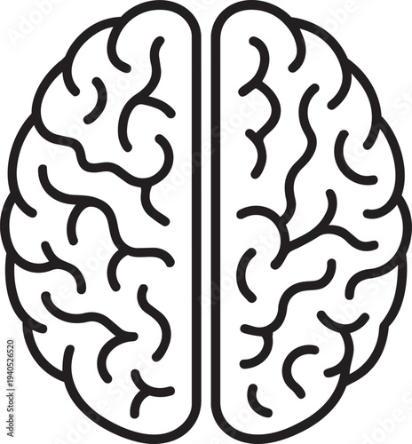 Symmetrical human brain hemispheres outline icon representing logical analytical thinking mental intelligence and cognitive psychological development concept