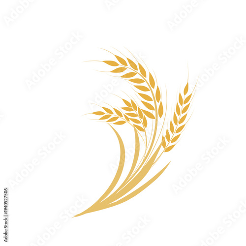 Vector illustration of golden wheat grain. Elegant wheat stalk. This graph is very suitable for agricultural purpose.  branding, food industry project, or natural ingredient label