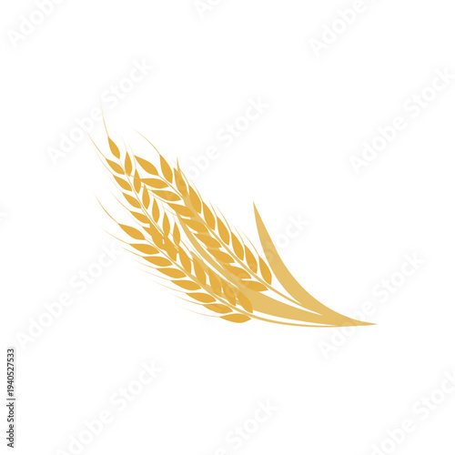 Vector illustration of golden wheat grain. Elegant wheat stalk. This graph is very suitable for agricultural purpose.  branding, food industry project, or natural ingredient label