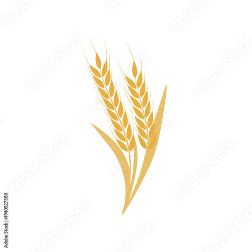 Vector illustration of golden wheat grain. Elegant wheat stalk. This graph is very suitable for agricultural purpose.  branding, food industry project, or natural ingredient label