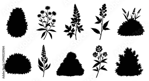 Diverse collection of plant, bush, and flower silhouettes with an isolated white background.