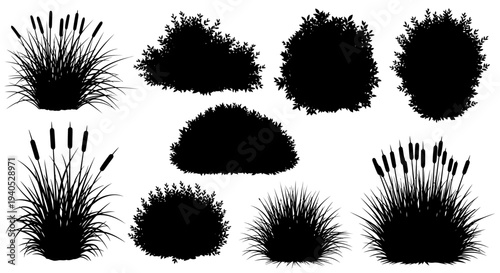 Collection of various grass, bush, and reed plant silhouettes with an isolated white background.