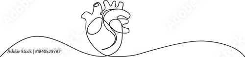 Illustration of continuous line drawing of human heart