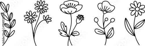 Minimal botanical sketch drawing with floral elements trendy tiny tattoo style delicate line art vector illustration set
