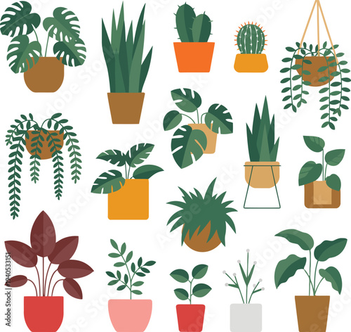 Minimalist indoor houseplants vector illustration on white background.