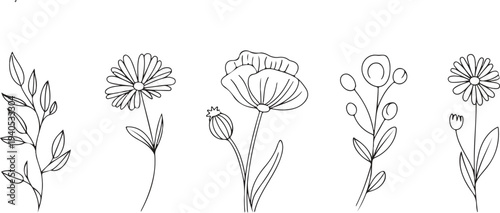 Minimal botanical sketch drawing with floral elements trendy tiny tattoo style delicate line art vector illustration set