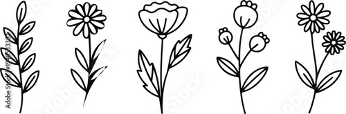 Minimal botanical sketch drawing with floral elements trendy tiny tattoo style delicate line art vector illustration set
