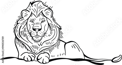 Line art illustration of a lion in vector with clear background, coloring book art outline 