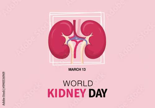 World kidney day march 13 illustration with kidney anatomy