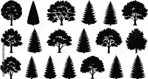Set of black silhouettes showing different types of deciduous and coniferous trees for forest landscape and nature outdoor garden decoration