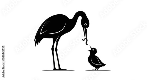 Black silhouette of a stork feeding its young chick with a worm.