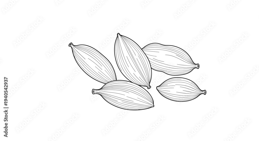 Obraz premium Detailed black and white engraving style illustration showing several cardamom pods with their characteristic textured outer seed shells.