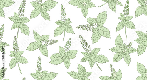 Delicate seamless pattern of flowering mint branches with green leaves and small white flowers drawn in a detailed line art style on white.
