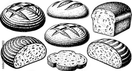 Collection of Hand Drawn Loaves and Slices of Bread with Detailed Textures White Background