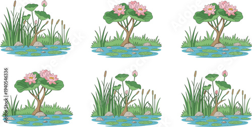 Six of pink lotus flowers growing in a pond with green leaves and surrounding vegetation pink flowers