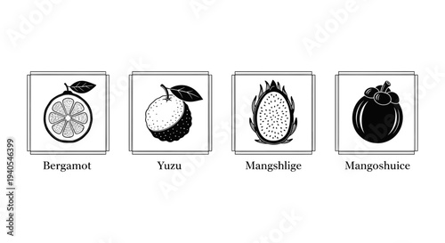 Labeled Monochrome Exotic Fruit Illustrations Featuring Bergamot, Yuzu, and Dragonfruit