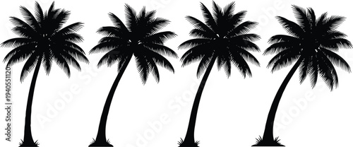 Tropical palm tree silhouettes set isolated on white background, black coconut palm trees for beach, summer, island design