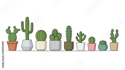 Collection of Various Cactus Plants in Pots.