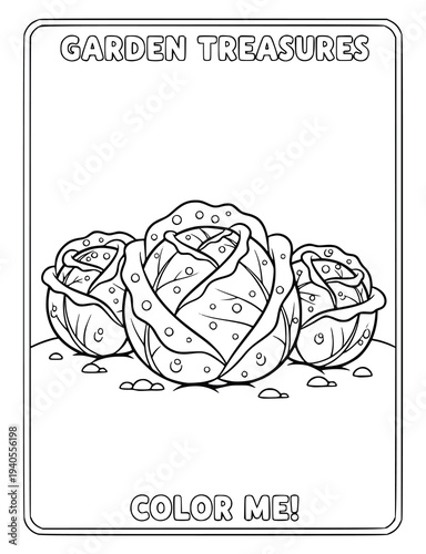 Garden treasures coloring page for children with fresh cabbage in a vegetable patch