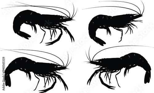 Silhouette illustrations of four lobsters in different poses