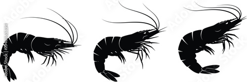 Silhouette illustrations of three crustaceans