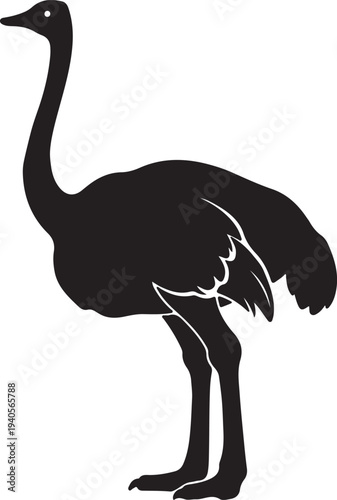 Ostrich Silhouette in Vector
