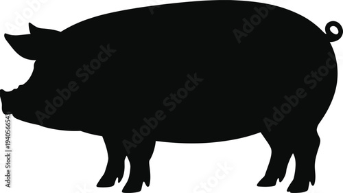 Modern luxury living room interior with stylish furniture, bright natural light, contemporary home design, cozy apartment, high quality photography, architecture.