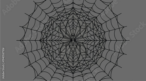 Intricate Spider Web Design with Central Spider Illustration.