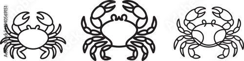 Crab outline. Vector illustration isolated on white background.one line vector icon illustration
