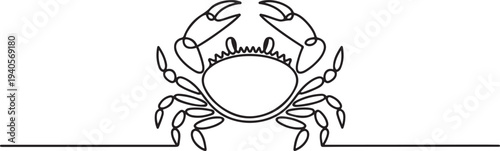 Crab outline. Vector illustration isolated on white background.one line vector icon illustration
