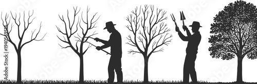 Gardener pruning tree silhouette sequence, seasonal tree care process, gardening maintenance activity, landscape work vector illustration design