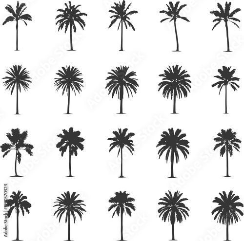 Palm Tree Tropical Botanical Silhouette Vector Collection