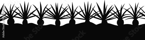 Pineapple plant border silhouette, tropical fruit garden landscape design, decorative agriculture plantation row, nature vector illustration element