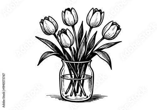 Tulip Flower Hand Drawn Illustration Vector by AZ for Books, Arts, Design and Decoration Graphic Asset