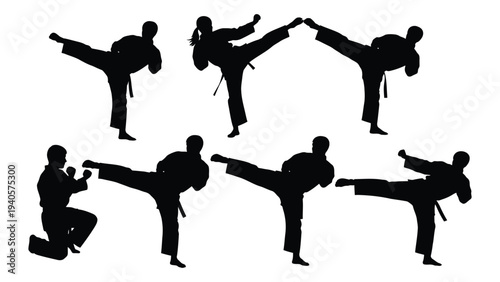 Silhouettes of people performing various karate kicks and punches