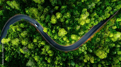 Aerial View of a Winding Road through a Dense Green Forest. Concept of Journey, Adventure, and Natures Beauty. Aerial drone shot shows a curved highway.
