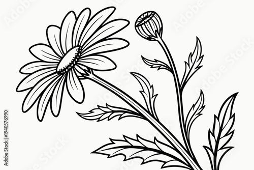 coloring page line art the daisy flower black vector