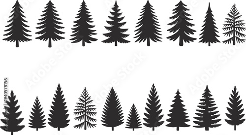 Various black and white silhouettes of different types of pine trees arranged in two rows forest