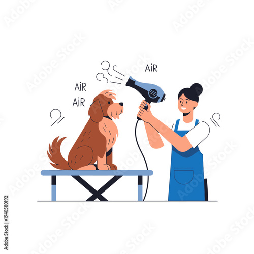 Dog grooming: stylist drying a fluffy brown dog with a hairdryer on a grooming table