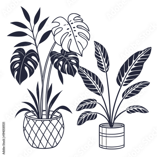 Collection of Potted Houseplants in Outline and Silhouette Style on White